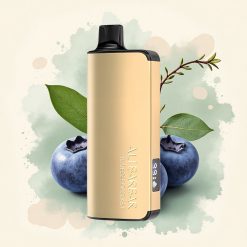 Alibarbar Ingot 9000 Puffs Explosión de Arándano 2350mAh 22ml