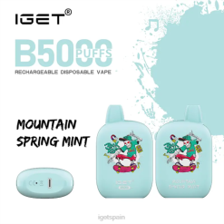 IGET sale- 6200N318 menta de primavera de montaña descuento iget vape iget b5000